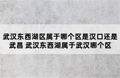 武汉东西湖区属于哪个区是汉口还是武昌 武汉东西湖属于武汉哪个区